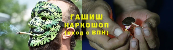 ешки Алексин
