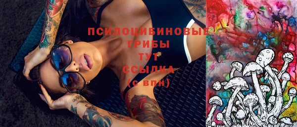 ешки Алексин