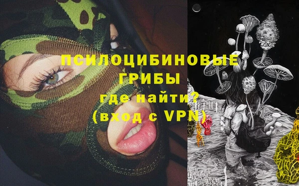 ешки Алексин