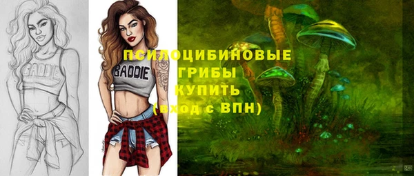 ешки Алексин